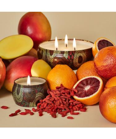 Shop VOLUSPA Goji & Tarocco Orange Decorative Tin Candle - 12 oz/ 340 g Online - Best Price & International Shipping - Buy Online on GoSupps.com