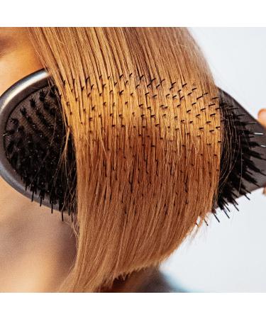 Shop Drybar Flat Mate Boar Bristle Brush Online - Best Price & International Shipping - Buy Online on GoSupps.com