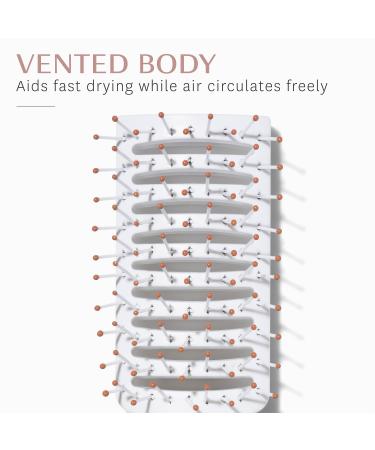 Shop T3 Dry Vent Brush Online - Best Price & International Shipping - Buy Online on GoSupps.com