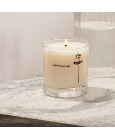 Shop Maison Louis Marie Antidris Cassis Candle - 8.5 oz / 241 g Online - Best Price & International Shipping - Buy Online on GoSupps.com
