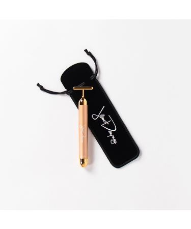 Shop Jillian Dempsey Gold Sculpting Bar Online - Best Price & International Shipping - Buy Online on GoSupps.com