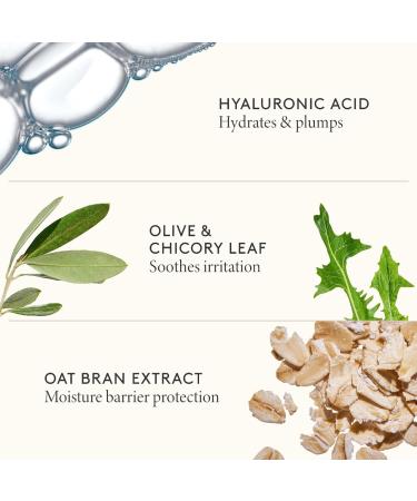 Shop Shani Darden Skin Care Cleansing Serum - 4 oz / 120 ml Online - Best Price & International Shipping - Buy Online on GoSupps.com
