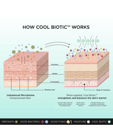 Shop Dr. Brandt Skincare Cool Biotic Prebiotic Redness Relief Cream - 1.7 oz/ 48 g Online - Best Price & International Shipping - Buy Online on GoSupps.com