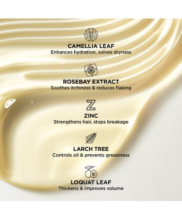 Shop BeautyBio Healthy Scalp Serum & Hair Density Treatment with Camellia Leaf - 1.7 oz/ 50 mL Online - Best Price & International Shipping - Buy Online on GoSupps.com