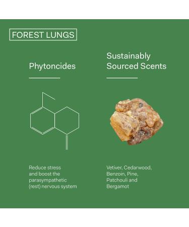 Shop The Nue Co. Forest Lungs Anti-Stress Fragrance Travel Spray - 0.3 oz/ 10 mL Online - Best Price & International Shipping - Buy Online on GoSupps.com