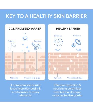 Shop LANEIGE Mini Cream Skin Refillable Toner & Moisturizer with Ceramides and Peptides - 1.69 oz / 50 ml Online - Best Price & International Shipping - Buy Online on GoSupps.com