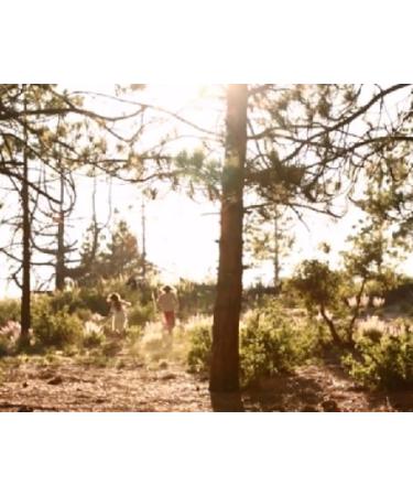 Shop Maison Louis Marie No.05 Kandilli Perfume Oil - 0.50 oz/ 15mL Online - Best Price & International Shipping - Buy Online on GoSupps.com