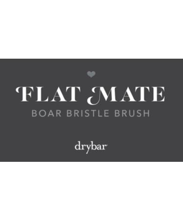 Shop Drybar Flat Mate Boar Bristle Brush Online - Best Price & International Shipping - Buy Online on GoSupps.com