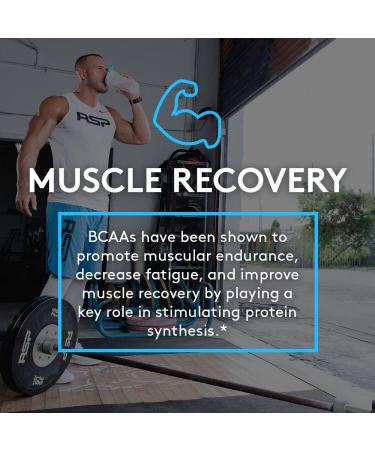 RSP Nutrition BCAA 5000 - 240 Capsules | Premium Amino Acids for Muscle Recovery & Performance - Buy Online on GoSupps.com