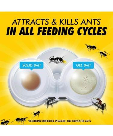 Combat Max 2-1 Ant Killer Kills Entire Colony 4 Bait Stations - Buy Online on GoSupps.com