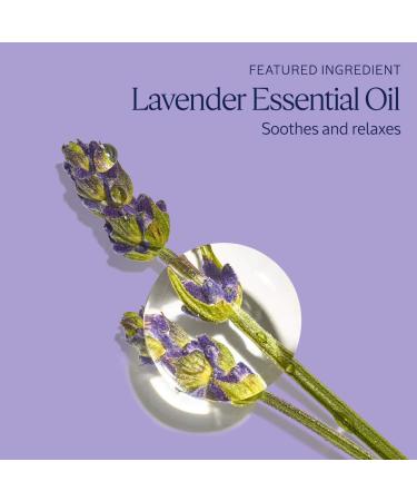 Shop L'Occitane L'Occitane Lavender Foaming Bath Online - Best Price & International Shipping - Buy Online on GoSupps.com