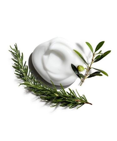 Shop Jack Black Sleek Finish Texture Cream Online - Best Price & International Shipping - Buy Online on GoSupps.com