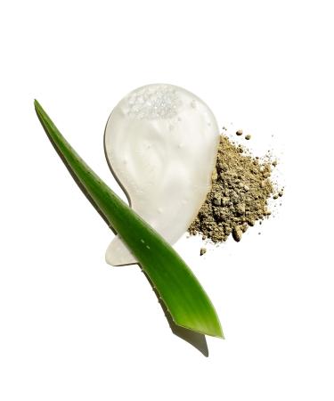 Shop Jack Black Beard Wash - 6 oz/ 177 mL Online - Best Price & International Shipping - Buy Online on GoSupps.com