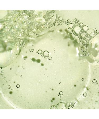 Shop Briogeo Superfoods Matcha + Apple Replenishing Shampoo Online - Best Price & International Shipping - Buy Online on GoSupps.com