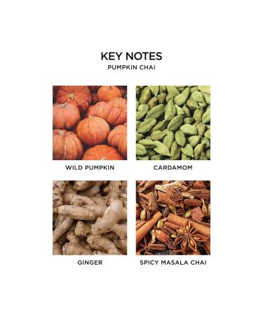 Shop NEST New York Pumpkin Chai Reed Diffuser Online - Best Price & International Shipping - Buy Online on GoSupps.com
