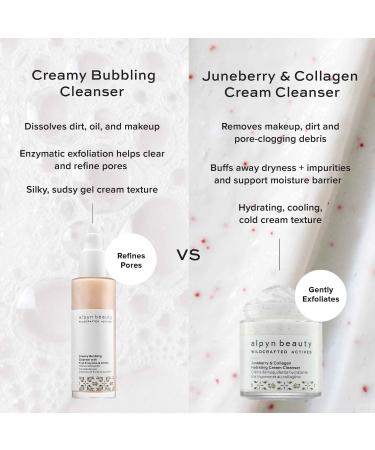 Shop Alpyn Beauty Creamy Bubbling Cleanser with Vitamin C & AHAs - 4.0 oz/ 118 mL Online - Best Price & International Shipping - Buy Online on GoSupps.com
