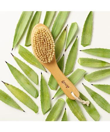 Shop goop G.Tox Ultimate Dry Brush Online - Best Price & International Shipping - Buy Online on GoSupps.com