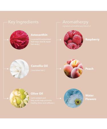 Shop Pureology Strength Cure Split-End Salve Leave-In Treatment - 1.7 oz/ 50 mL Online - Best Price & International Shipping - Buy Online on GoSupps.com