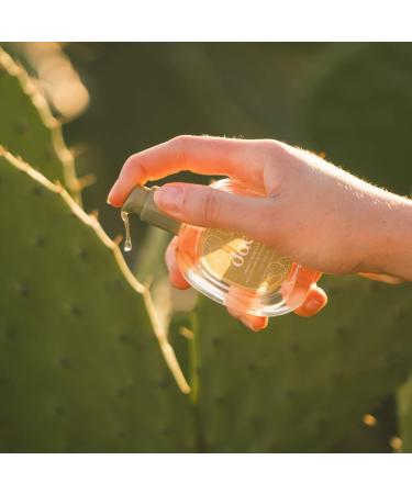 Shop dae Prickly Pear Hair Oil - 1.7 oz/ 50 mL Online - Best Price & International Shipping - Buy Online on GoSupps.com