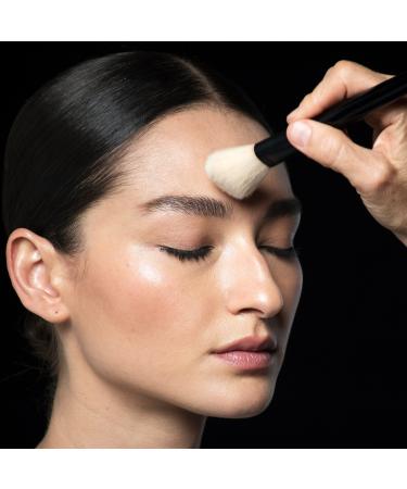 Shop Westman Atelier Clean Powder Brush Online - Best Price & International Shipping - Buy Online on GoSupps.com