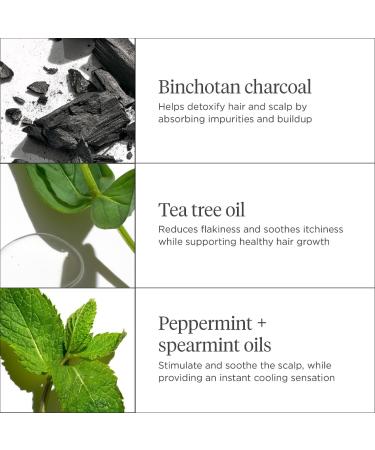 Shop Briogeo Scalp Revival Charcoal + Tea Tree Cooling Hydration Mask for Dry Itchy Scalp - 6 oz/ 177 mL Online - Best Price & International Shipping - Buy Online on GoSupps.com