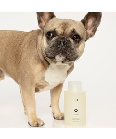Shop OUAI Pet Shampoo - 16 oz/ 474 mL Online - Best Price & International Shipping - Buy Online on GoSupps.com