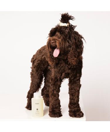 Shop OUAI Pet Shampoo - 16 oz/ 474 mL Online - Best Price & International Shipping - Buy Online on GoSupps.com
