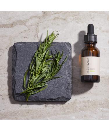Shop SUNDAY II SUNDAY Tea Tree Essential Oil - 1 oz/ 30 mL Online - Best Price & International Shipping - Buy Online on GoSupps.com