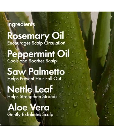 Shop BondiBoost Intensive Daily Scalp Spray for Thinning Hair with Rosemary - 4.23 oz/ 125 mL Online - Best Price & International Shipping - Buy Online on GoSupps.com