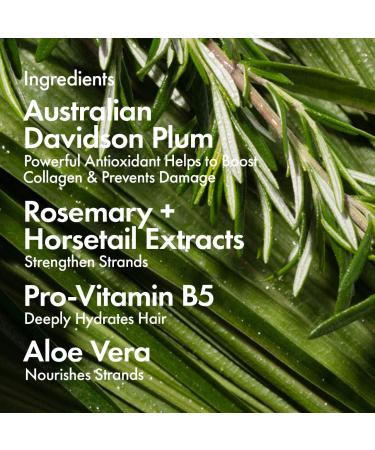 Shop BondiBoost Thermal & Heat Protectant Spray with Aloe + Rosemary - 4.23 oz/ 125 mL Online - Best Price & International Shipping - Buy Online on GoSupps.com