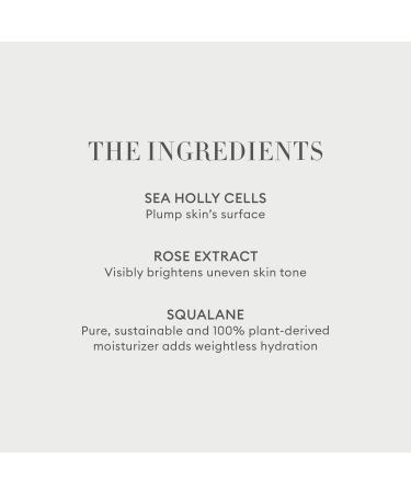 Shop ROSE INC Solar Radiance Hydrating Cream Highlighter - 0.17 oz / 5 g Opalescent - cool pink Online - Best Price & International Shipping - Buy Online on GoSupps.com