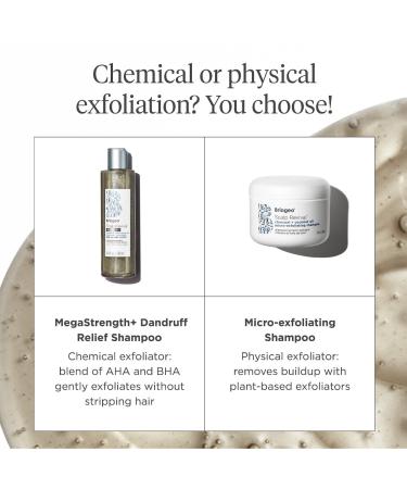 Shop Briogeo Scalp Revival Dandruff Relief Charcoal Shampoo - 8.4 oz/ 248 mL Online - Best Price & International Shipping - Buy Online on GoSupps.com