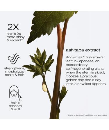 Shop shu uemura Ashita Supreme Purifying Sea Salt Scalp Scrub - 11.4 oz/ 325 g Online - Best Price & International Shipping - Buy Online on GoSupps.com