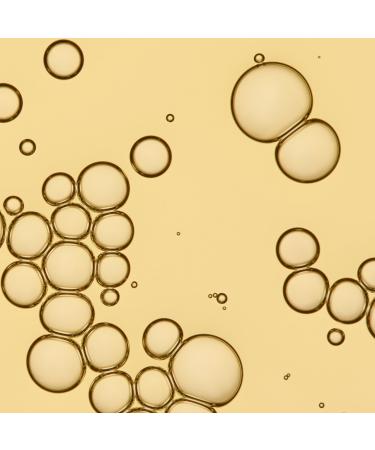 Shop Living Proof No Frizz Vanishing Oil - 1.7 oz / 50 mL Online - Best Price & International Shipping - Buy Online on GoSupps.com
