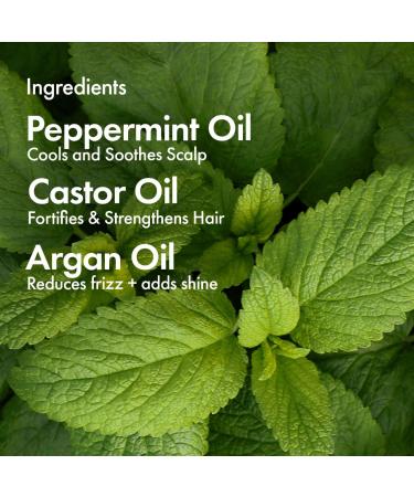 Shop BondiBoost Elixir Hair Oil Pre-Shampoo Treatment with Castor Oil - 4.23 oz / 125 mL Online - Best Price & International Shipping - Buy Online on GoSupps.com