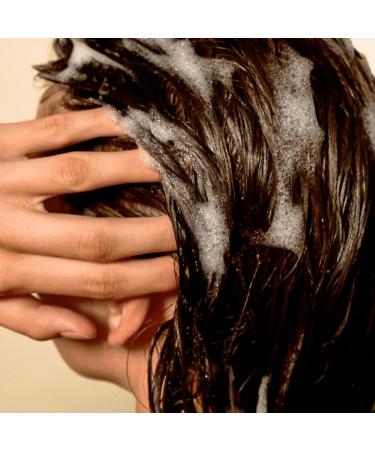 Shop Ceremonia Weightless Hydration Shampoo for Fine/Thin Hair - 8.5 oz / 250 mL Online - Best Price & International Shipping - Buy Online on GoSupps.com