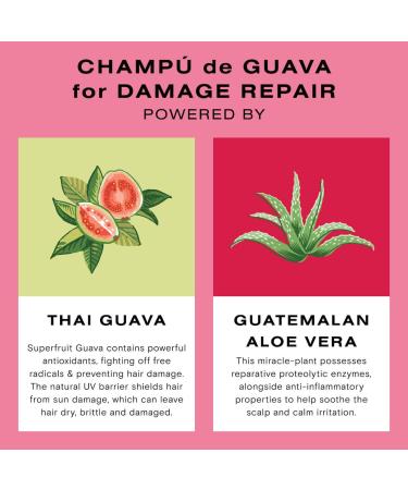 Shop Ceremonia Guava Shampoo for Damaged and Color Treated Hair Online - Best Price & International Shipping - Buy Online on GoSupps.com