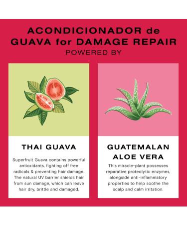 Shop Ceremonia Guava Conditioner for Damaged and Color Treated Hair - 8.45 oz / 250 mL Online - Best Price & International Shipping - Buy Online on GoSupps.com