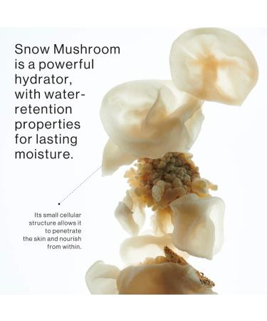Shop DAMDAM Snow Mushroom Pore Cleanser with Exfoliating Glove Online - Best Price & International Shipping - Buy Online on GoSupps.com