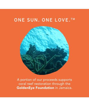 Shop Soleil Toujours Hydra Lip Masque Mineral SPF 15 with Peptides - 0.34 oz / 10 mL Online - Best Price & International Shipping - Buy Online on GoSupps.com