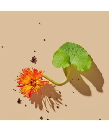 Shop Tata Harper Superkind Brightening Refining Cleanser for Skin Barrier Support - 4.1 oz / 125 mL Online - Best Price & International Shipping - Buy Online on GoSupps.com