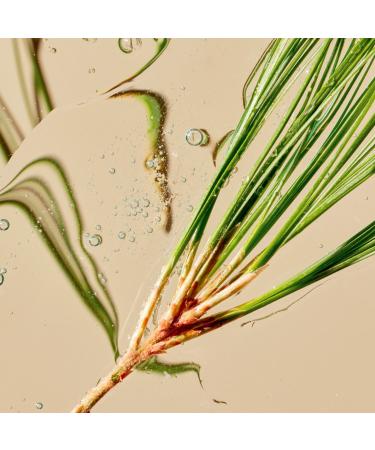 Shop Tata Harper Superkind Brightening Refining Cleanser for Skin Barrier Support - 4.1 oz / 125 mL Online - Best Price & International Shipping - Buy Online on GoSupps.com