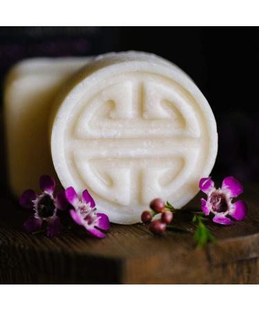 Shop Viori Mini Terrace Garden Shampoo & Conditioner Bar Set Online - Best Price & International Shipping - Buy Online on GoSupps.com