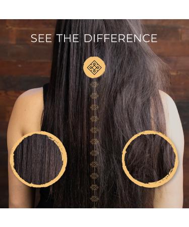 Shop Viori Mini Native Essence Shampoo & Conditioner Bar Set Online - Best Price & International Shipping - Buy Online on GoSupps.com