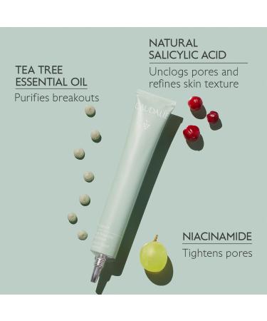Shop Caudalie Vinopure Color Correcting Spot Solution with Salicylic Acid - .5 oz / 15 ml Online - Best Price & International Shipping - Buy Online on GoSupps.com