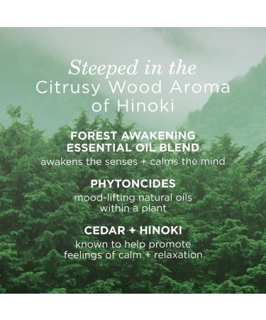 Shop Tatcha Forest Awakening Body Travel Set Online - Best Price & International Shipping - Buy Online on GoSupps.com