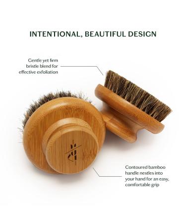 Shop Kate McLeod The Dry Brush Online - Best Price & International Shipping - Buy Online on GoSupps.com