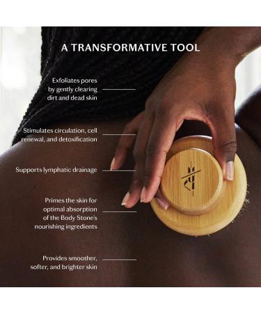 Shop Kate McLeod The Dry Brush Online - Best Price & International Shipping - Buy Online on GoSupps.com