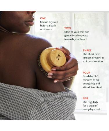 Shop Kate McLeod The Dry Brush Online - Best Price & International Shipping - Buy Online on GoSupps.com