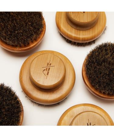 Shop Kate McLeod The Dry Brush Online - Best Price & International Shipping - Buy Online on GoSupps.com